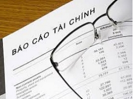 BÁO CÁO TÀI CHÍNH
